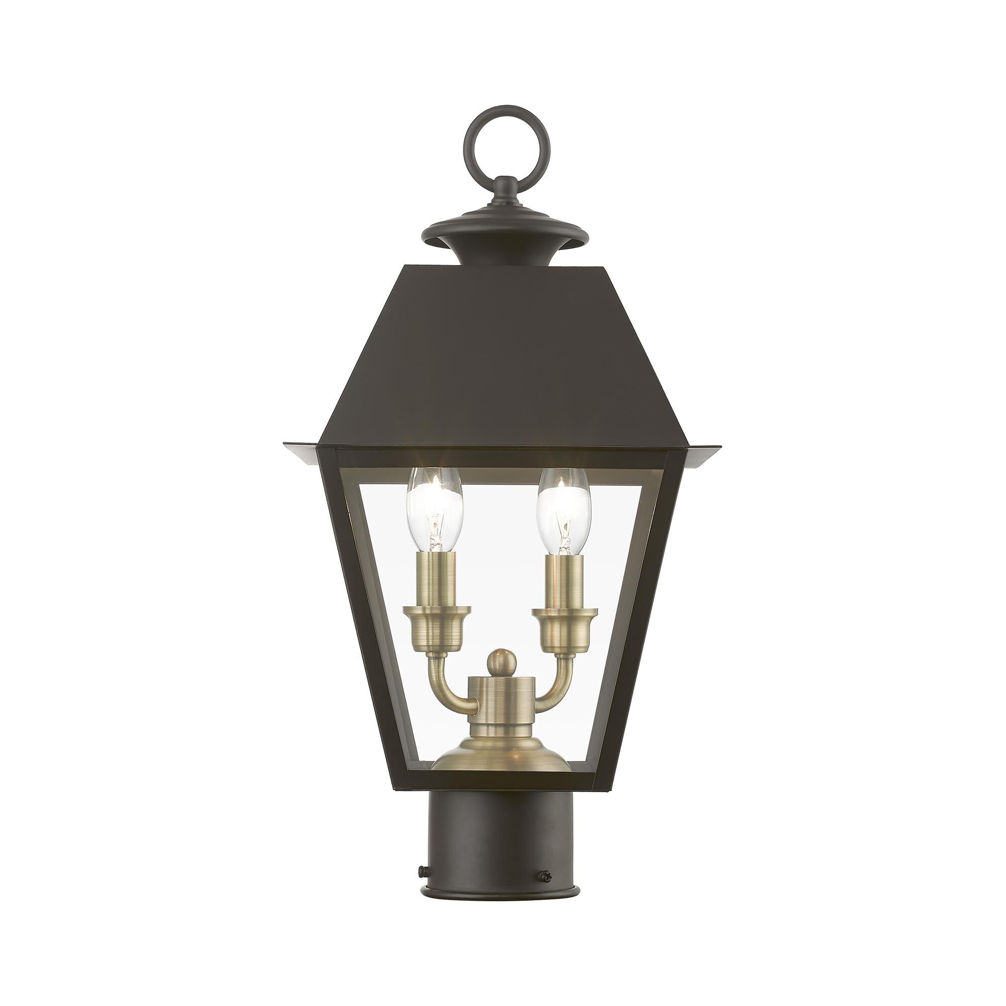 Shown in Bronze with Antique Brass Finish Cluster finish and Clear glass