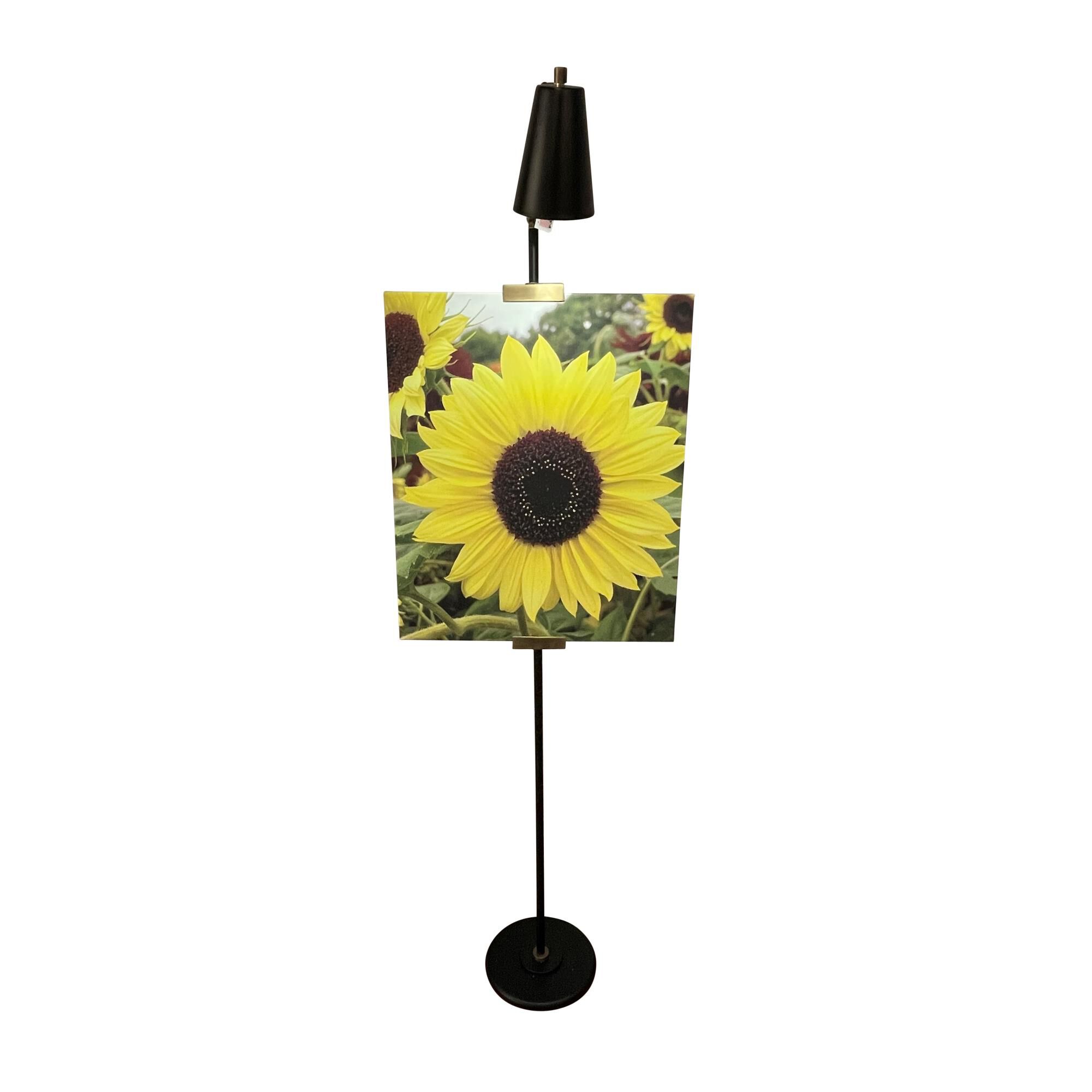 Shown in Black and Antique Brass finish and Metal shade