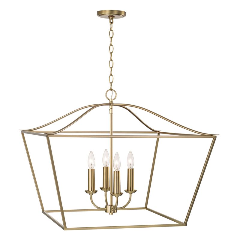 Grady 38 Inch Cage Pendant by Capital Lighting Fixture Company