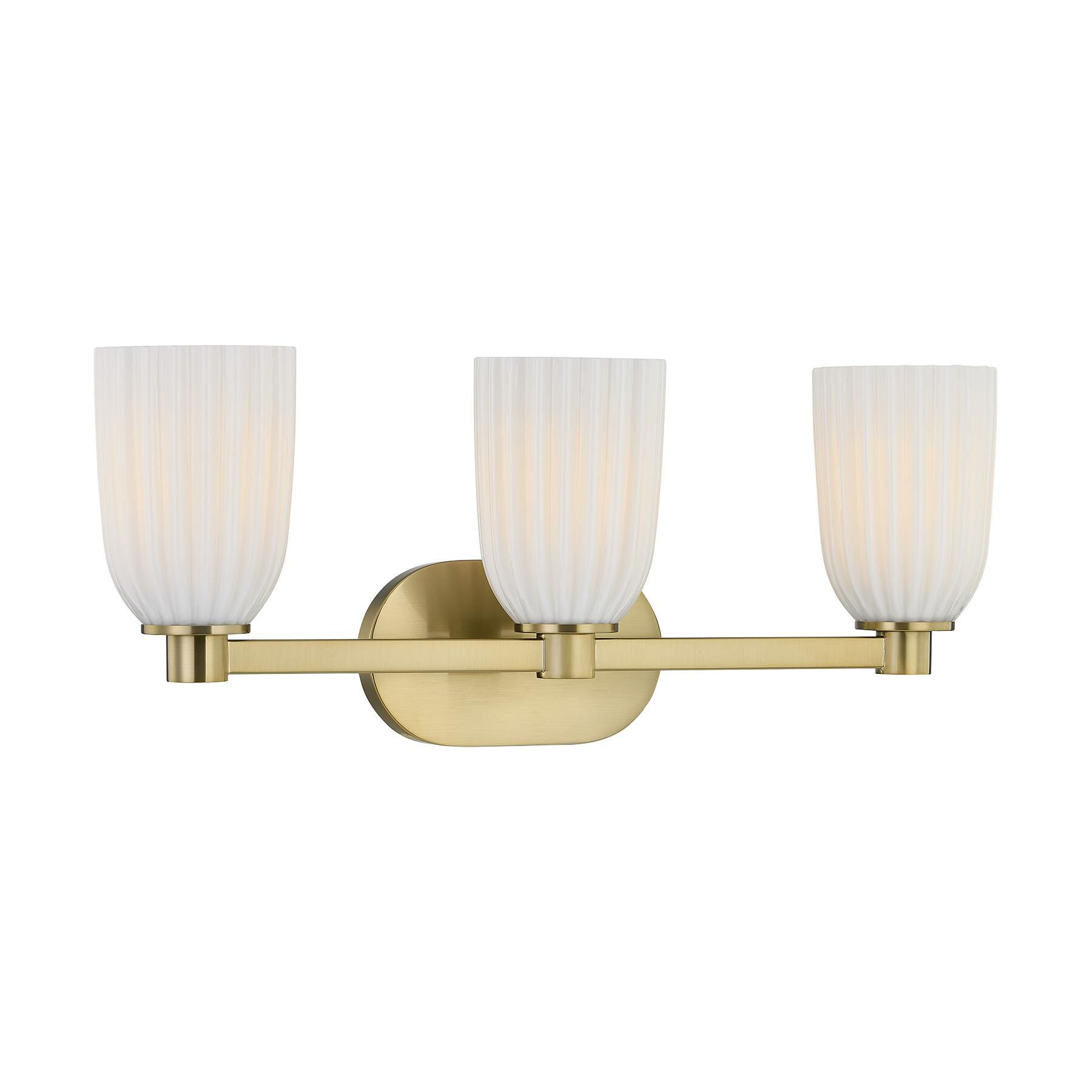 Baldwin 23 Inch Bath Vanity Light by Savoy House