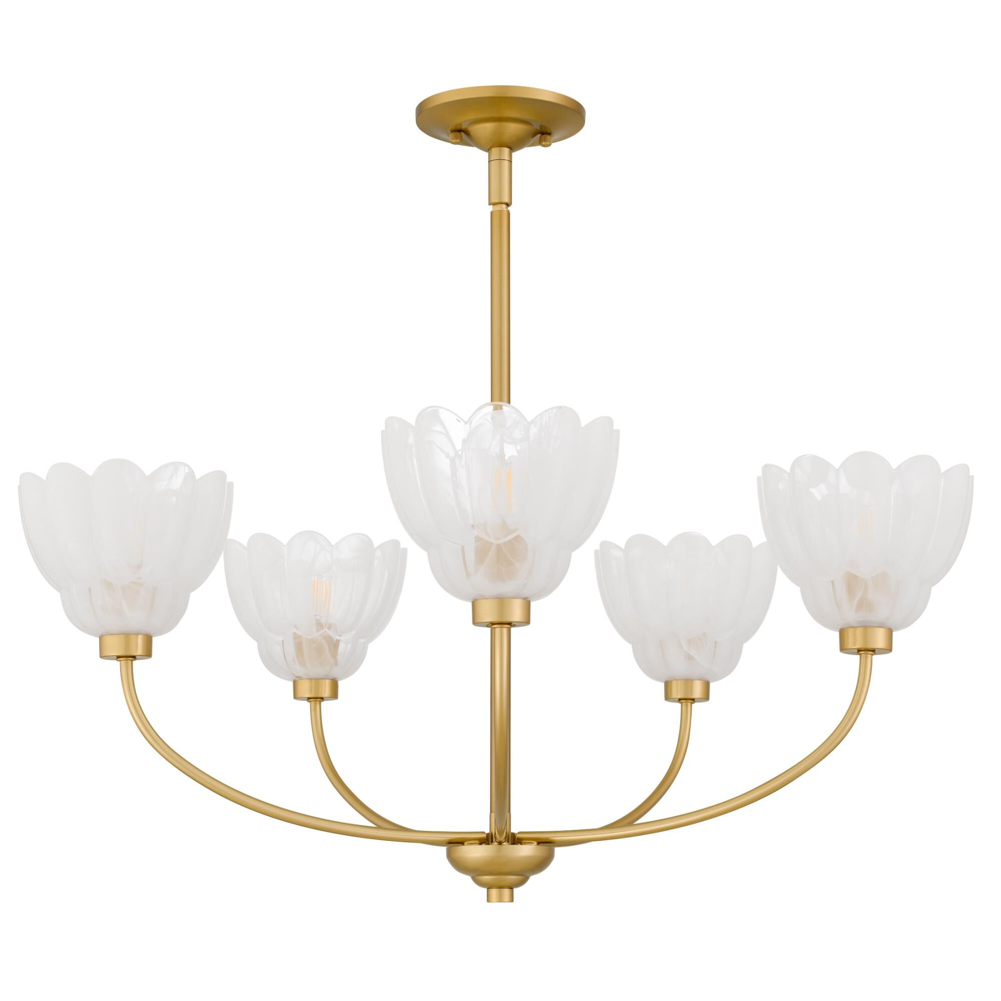 Whitecap 28 Inch 5 Light Chandelier by Quoizel