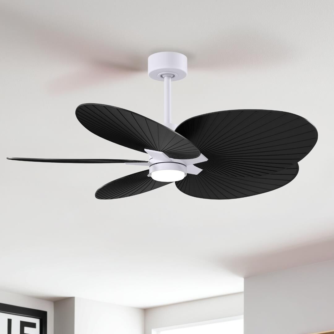 Alessandra Tropical Outdoor Rated 48 Inch Ceiling Fan with Light Kit by Matthews Fan Company