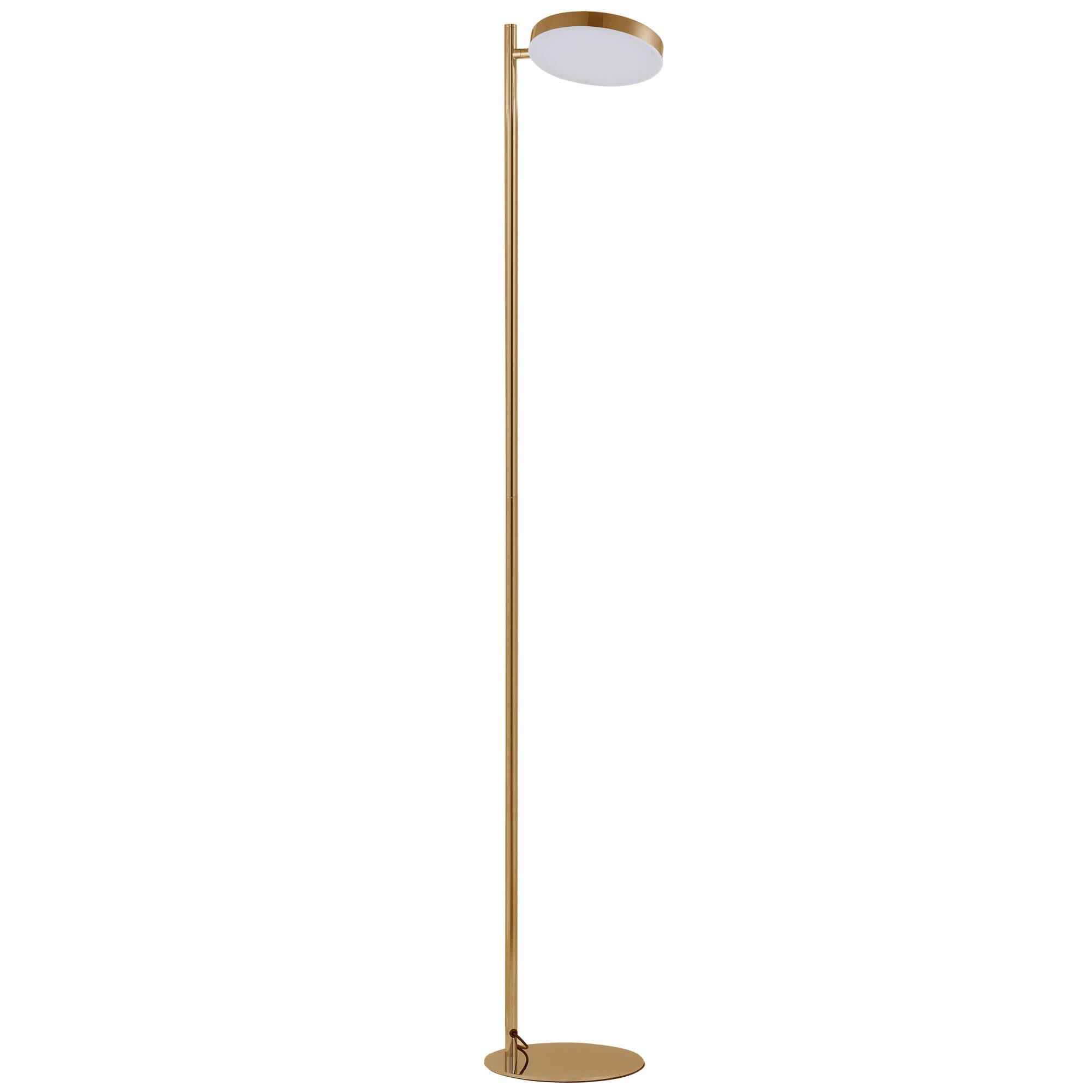 Fia 60 Inch Floor Lamp by Dainolite