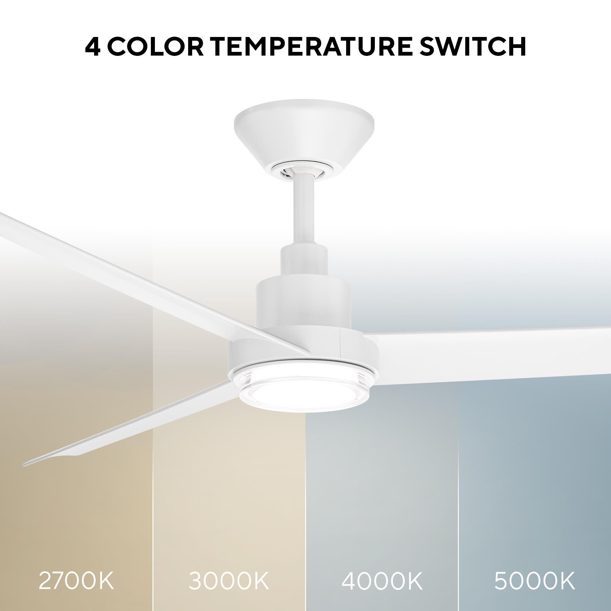 Bolo 62 Inch Ceiling Fan with Light Kit by Modern Forms