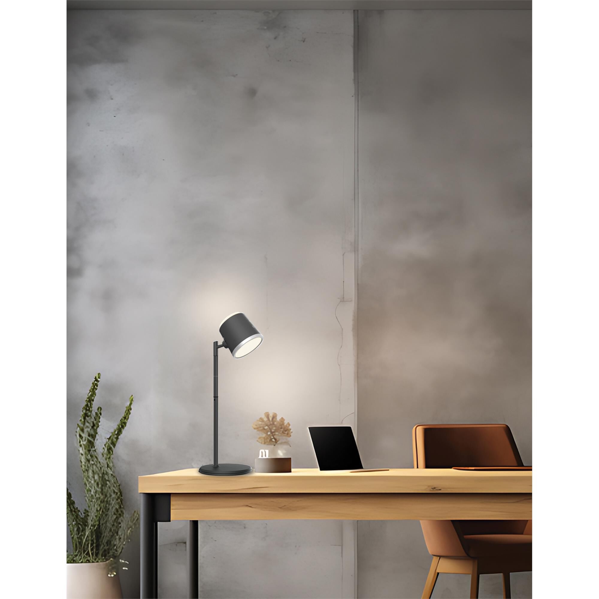 Tram 14 Inch Desk Lamp by Dainolite