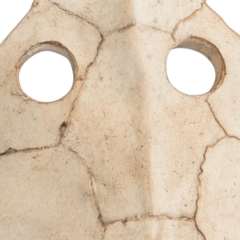 Shown in Aged Whitewash finish