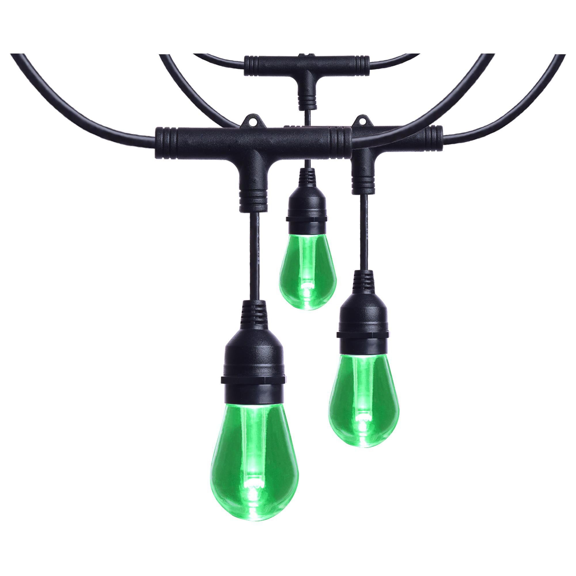 Starfish 576 Inch String Light,