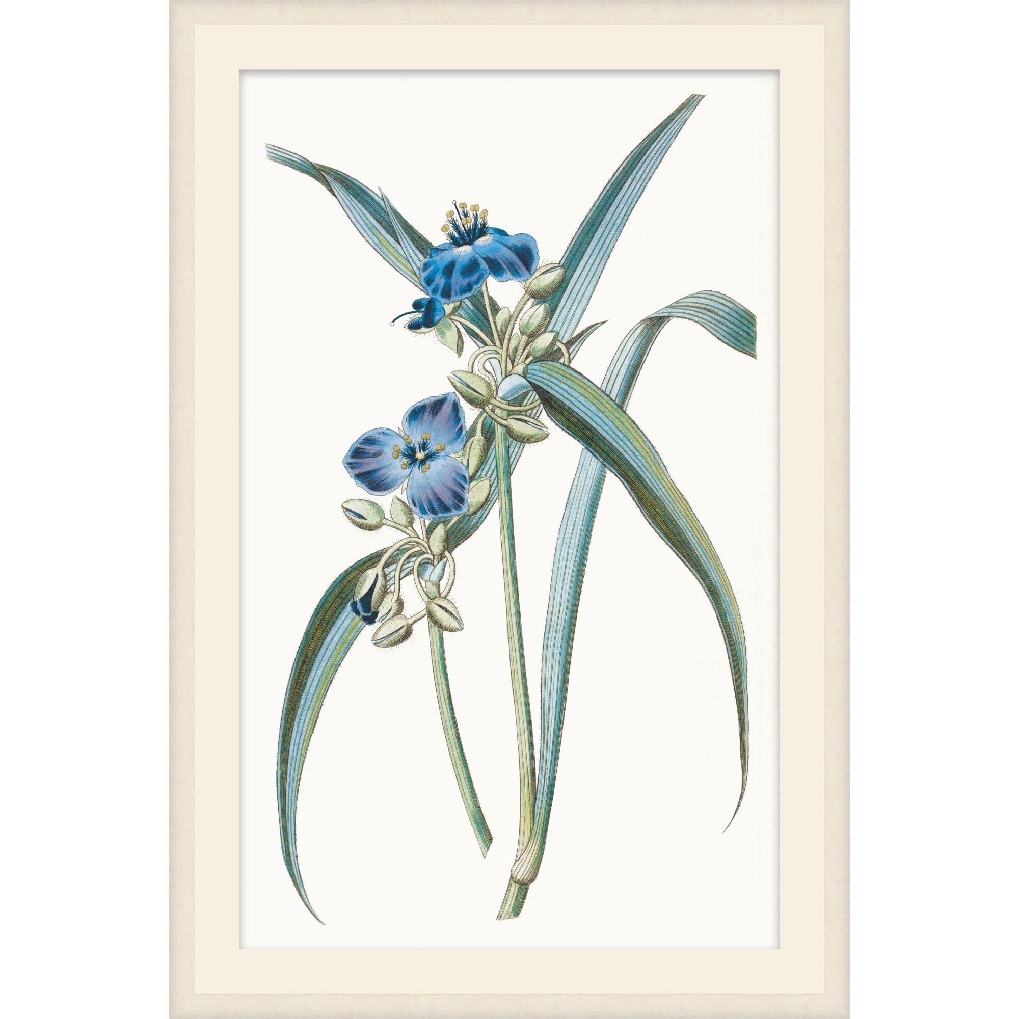 Studio L57 Nouvelle Sapphire Flora Print by LEVEL57