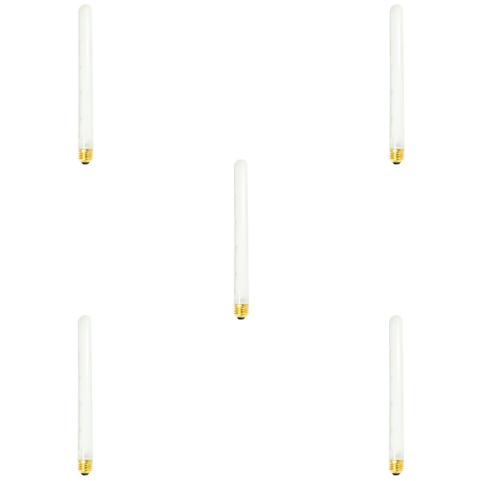 75 Watt 2700K T8 Incandescent Light Bulb,