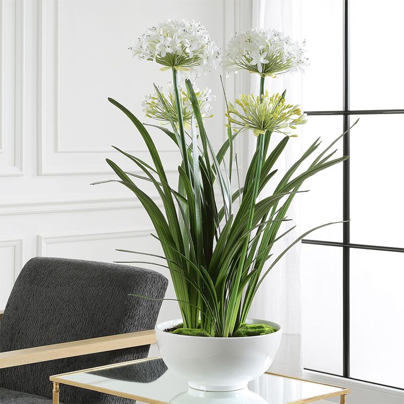 Purity Agapanthus 30 Inch Botanical by Uttermost