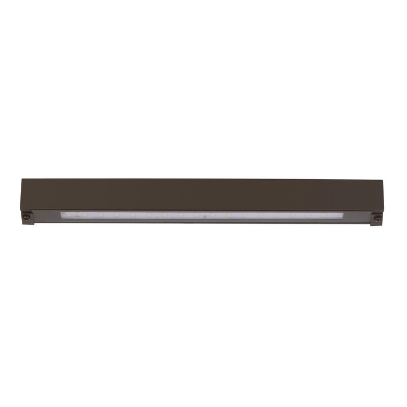 Colorscaping 12 Inch Landscape Specialty Light by WAC Lighting