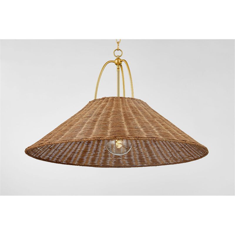 Zoe Feldman Davida Medium Pendant Light by Mitzi