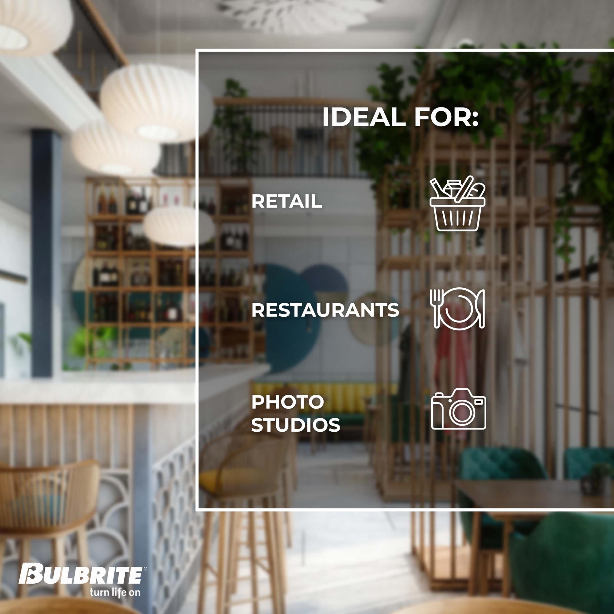 60 Watt 2700K A19 Incandescent Light Bulb by Bulbrite