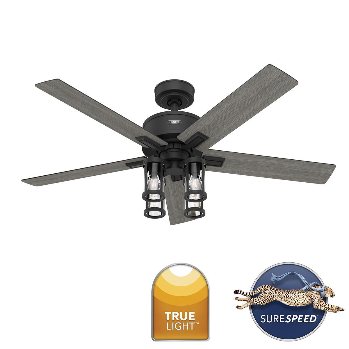 Astwood II 52 Inch Ceiling Fan by Hunter Fan