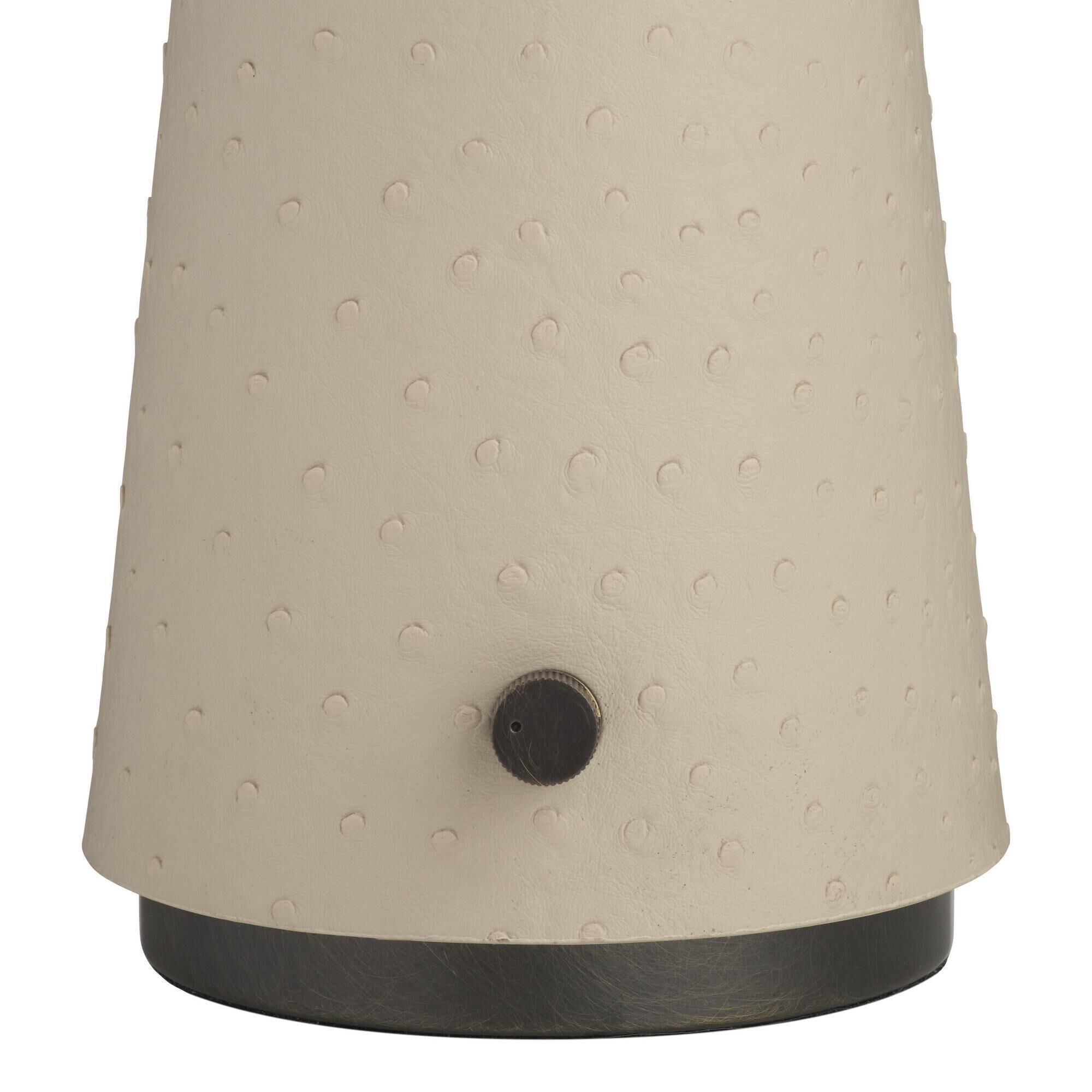 Struzzo 19 Inch Accent Lamp by Arteriors Home