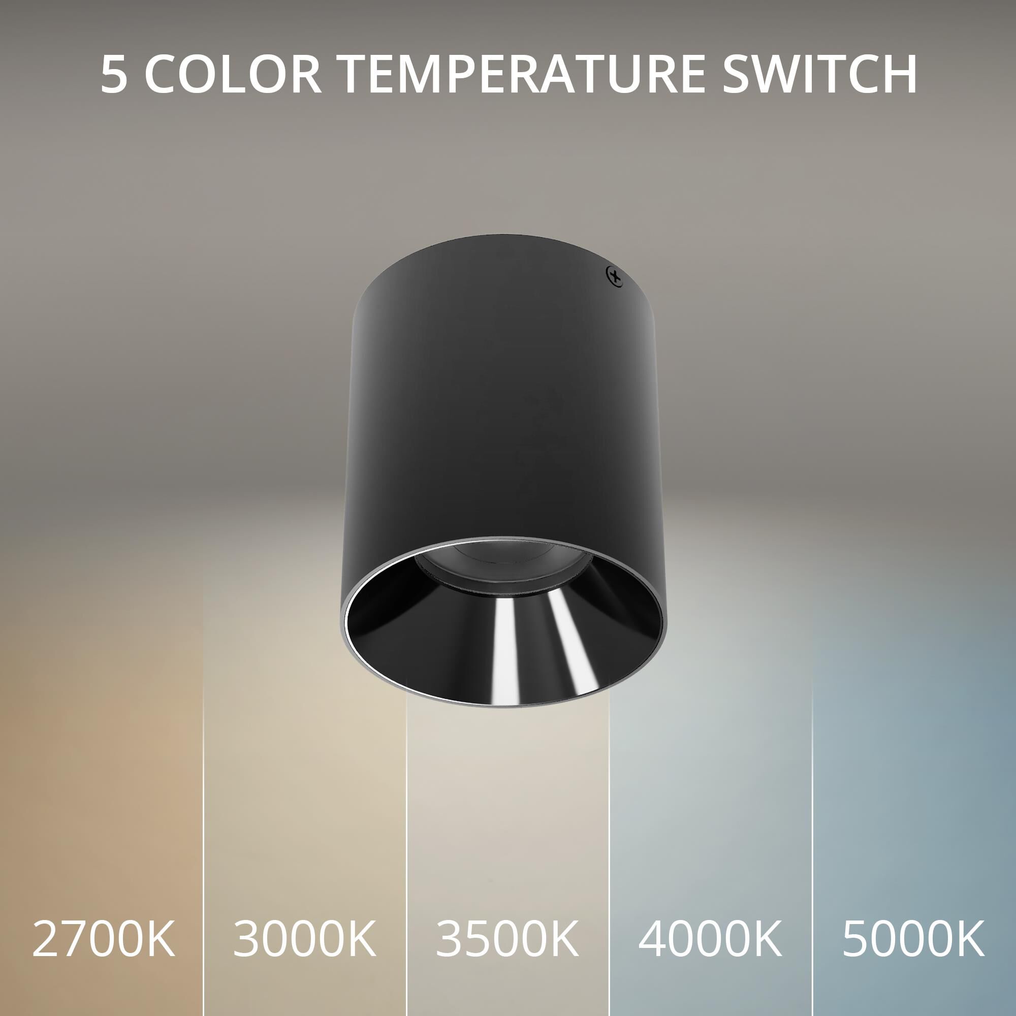 Zoron 4 Inch Outdoor Flush Mount by WAC Lighting