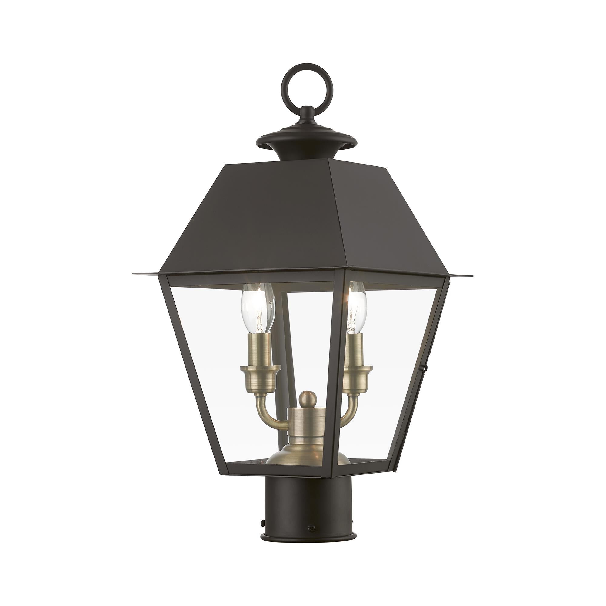 Shown in Bronze with Antique Brass Finish Cluster finish and Clear glass