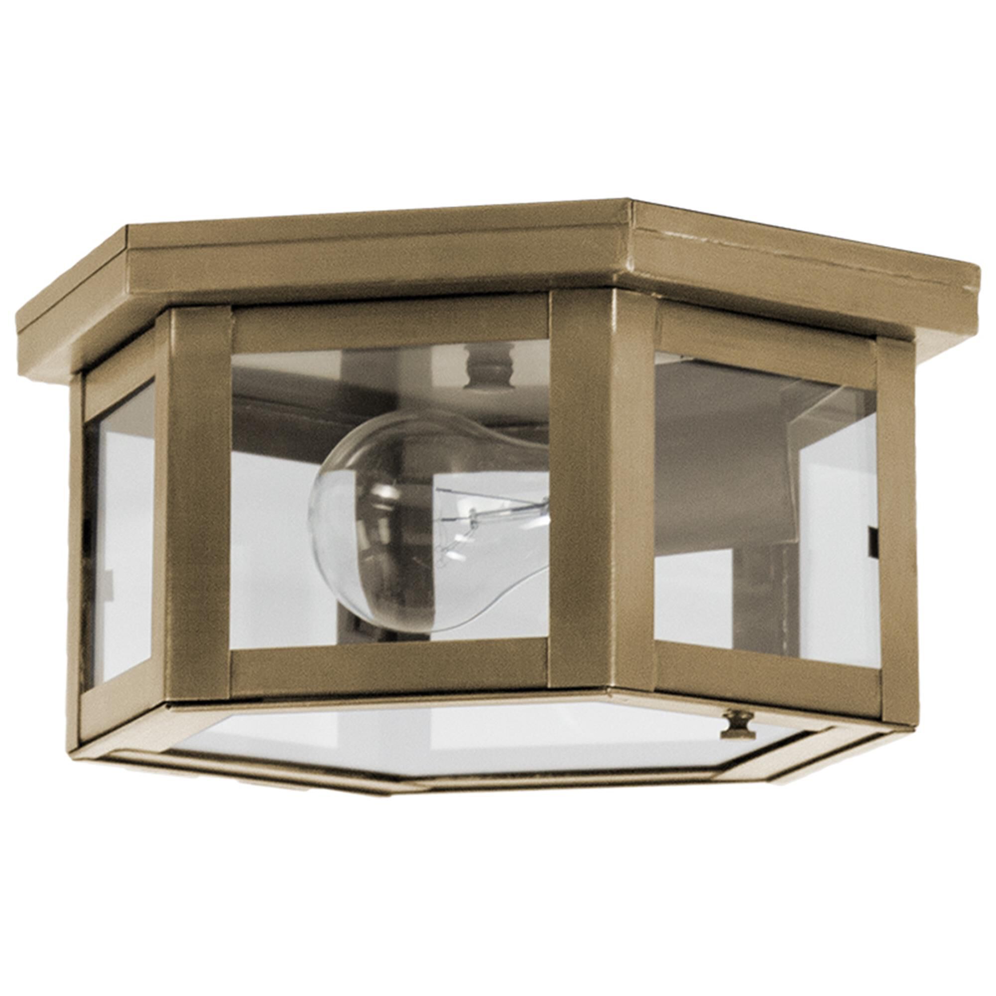 Williams 10 Inch Outdoor Flush Mount,