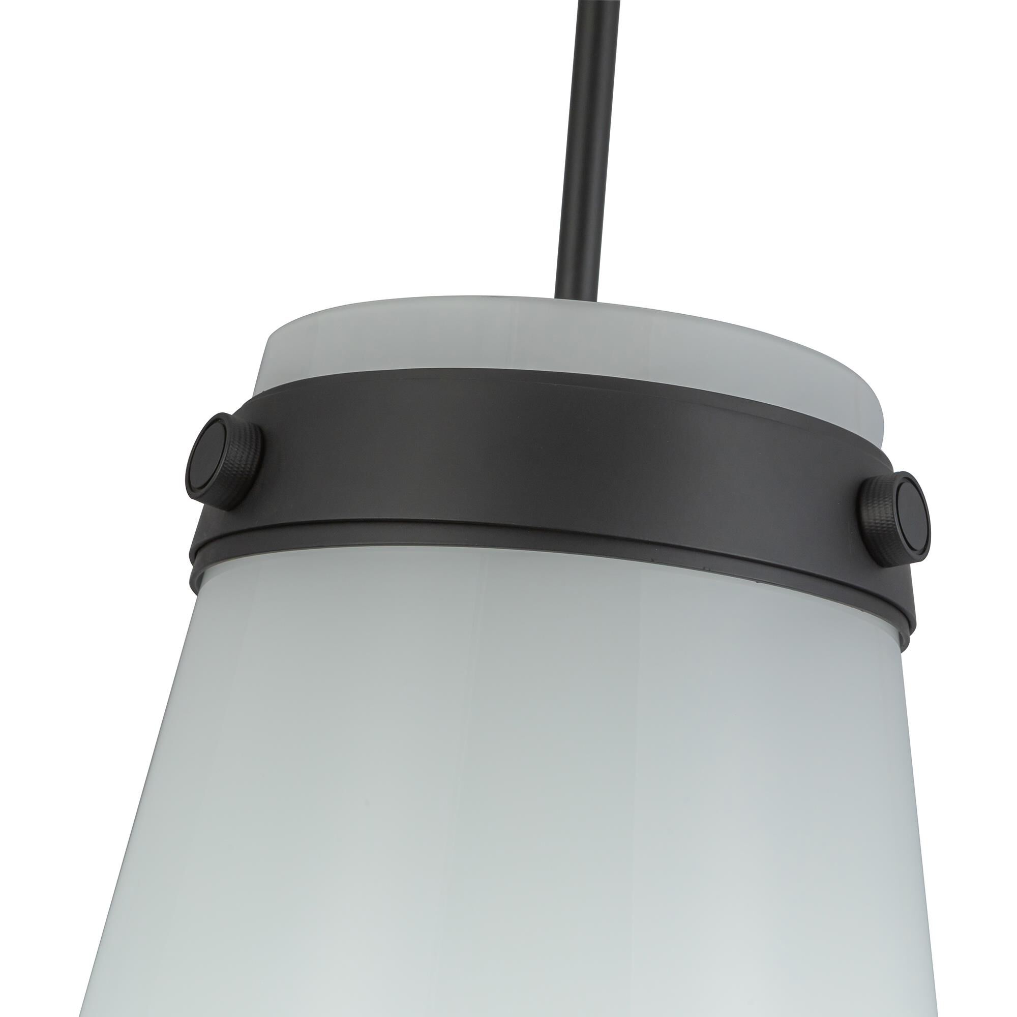 Kevin Kraemer Dahlia 12 Inch Mini Pendant,