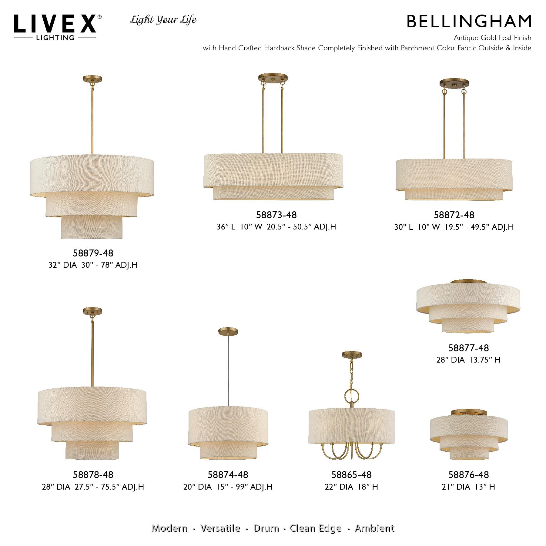 Bellingham 30 Inch Linear Suspension Light by Livex Lighting