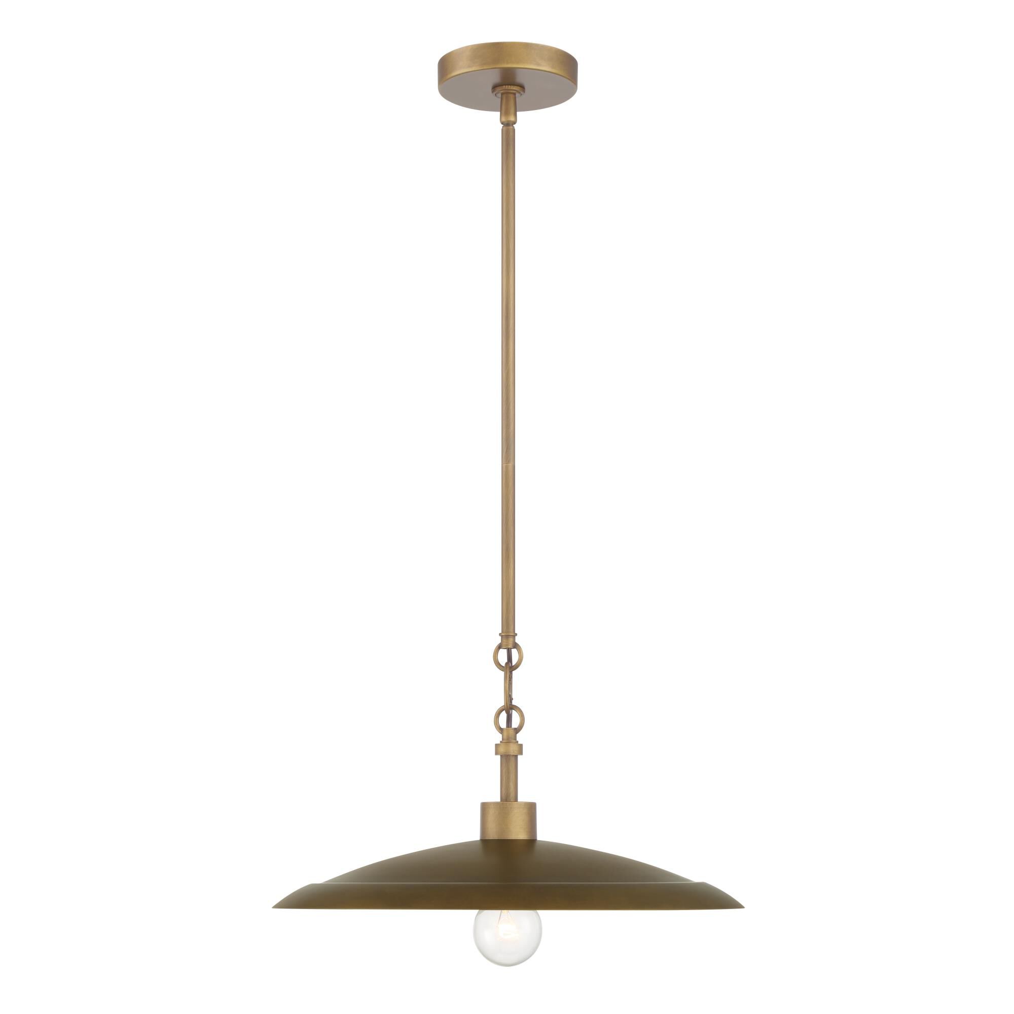 Shown in Natural Brass & Dark Matte Coa finish and Natural Brass glass and Steel shade