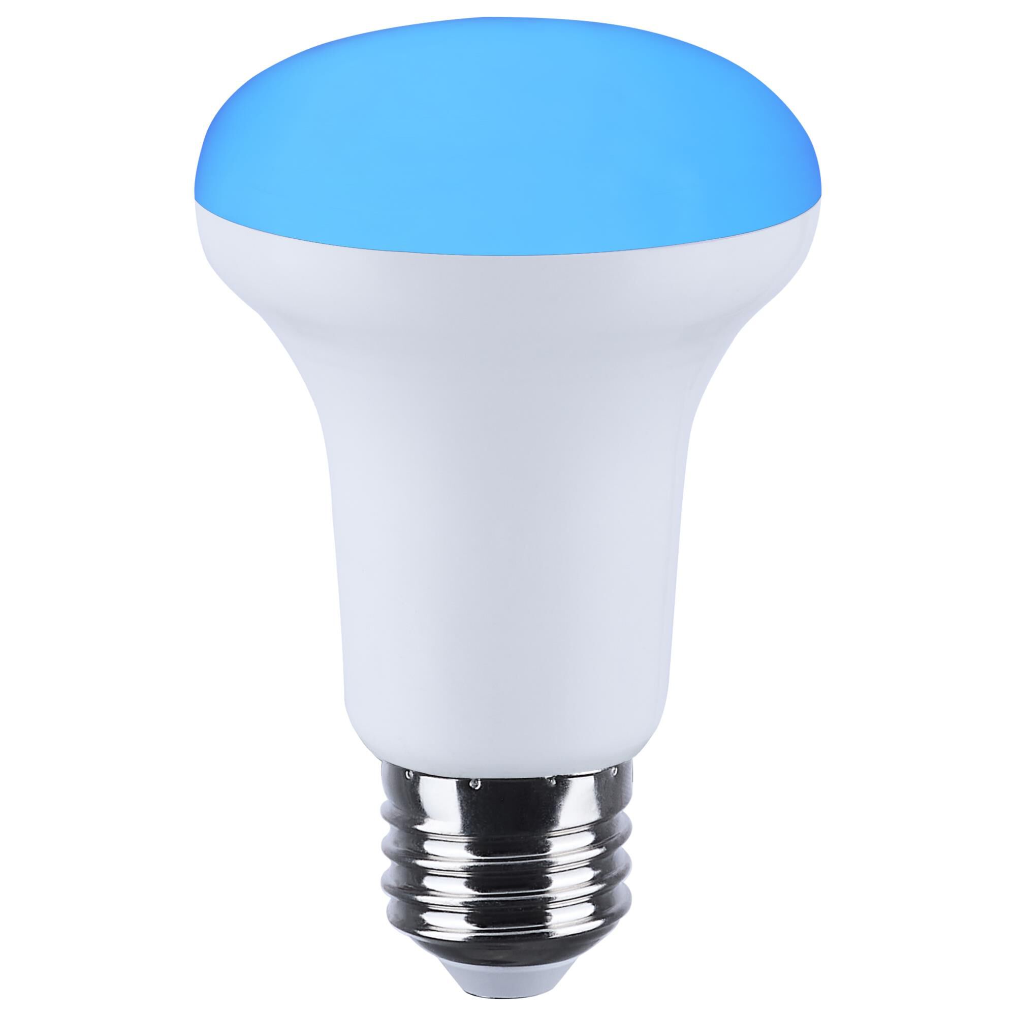 Dimmable 6 Watt 2700K R20 LED Light Bulb,