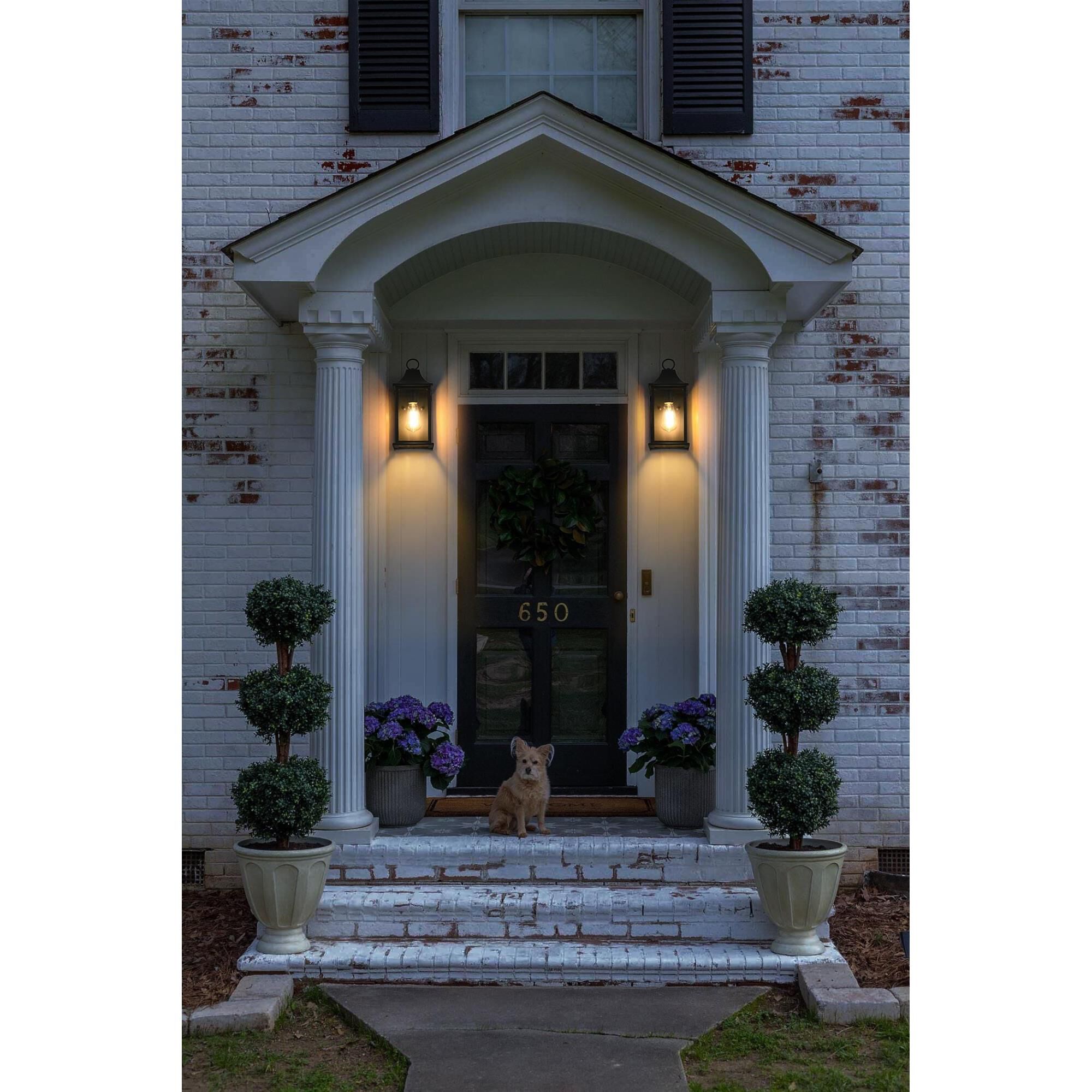 Shepard 6 Inch Outdoor Wall Light by Elegant Lighting