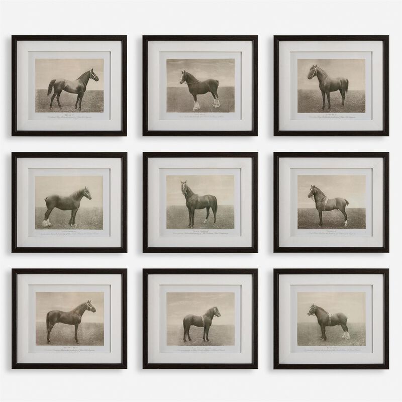 Grace Feyock Equine Dynasty 14 Inch Print by Uttermost