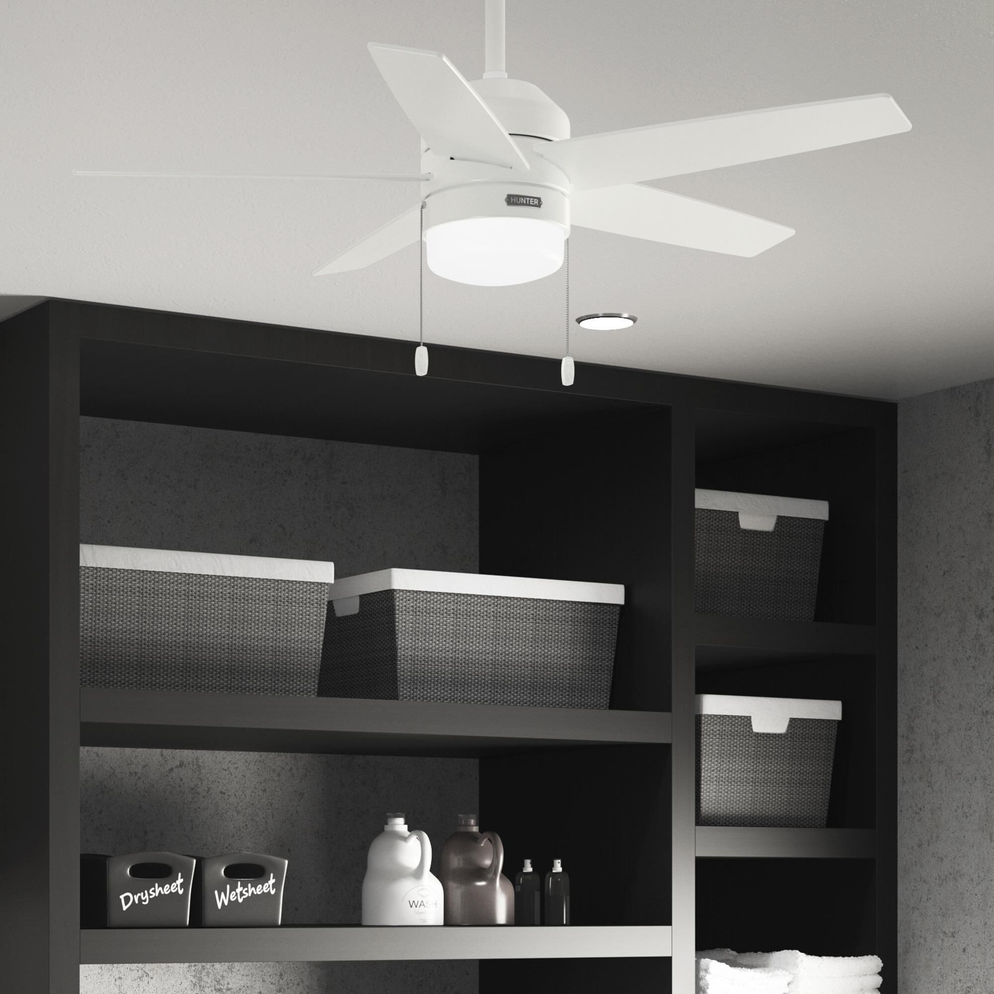 Bardot 44 Inch Ceiling Fan with Light Kit by Hunter Fan