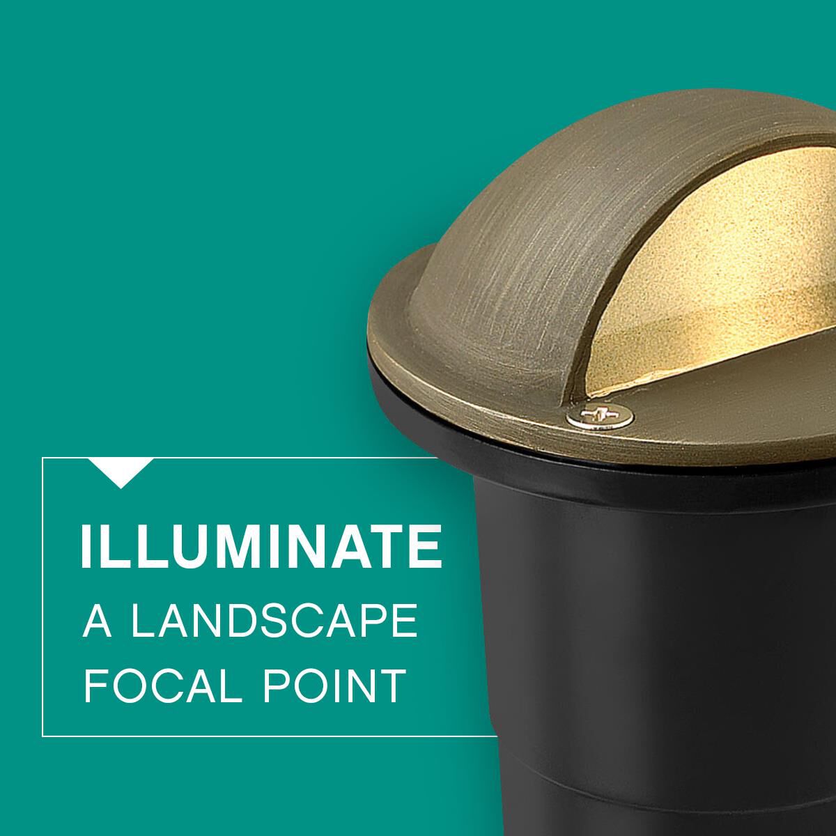 Hinkley Lighting Hardy Island 2 - 20 Watt In Ground Light