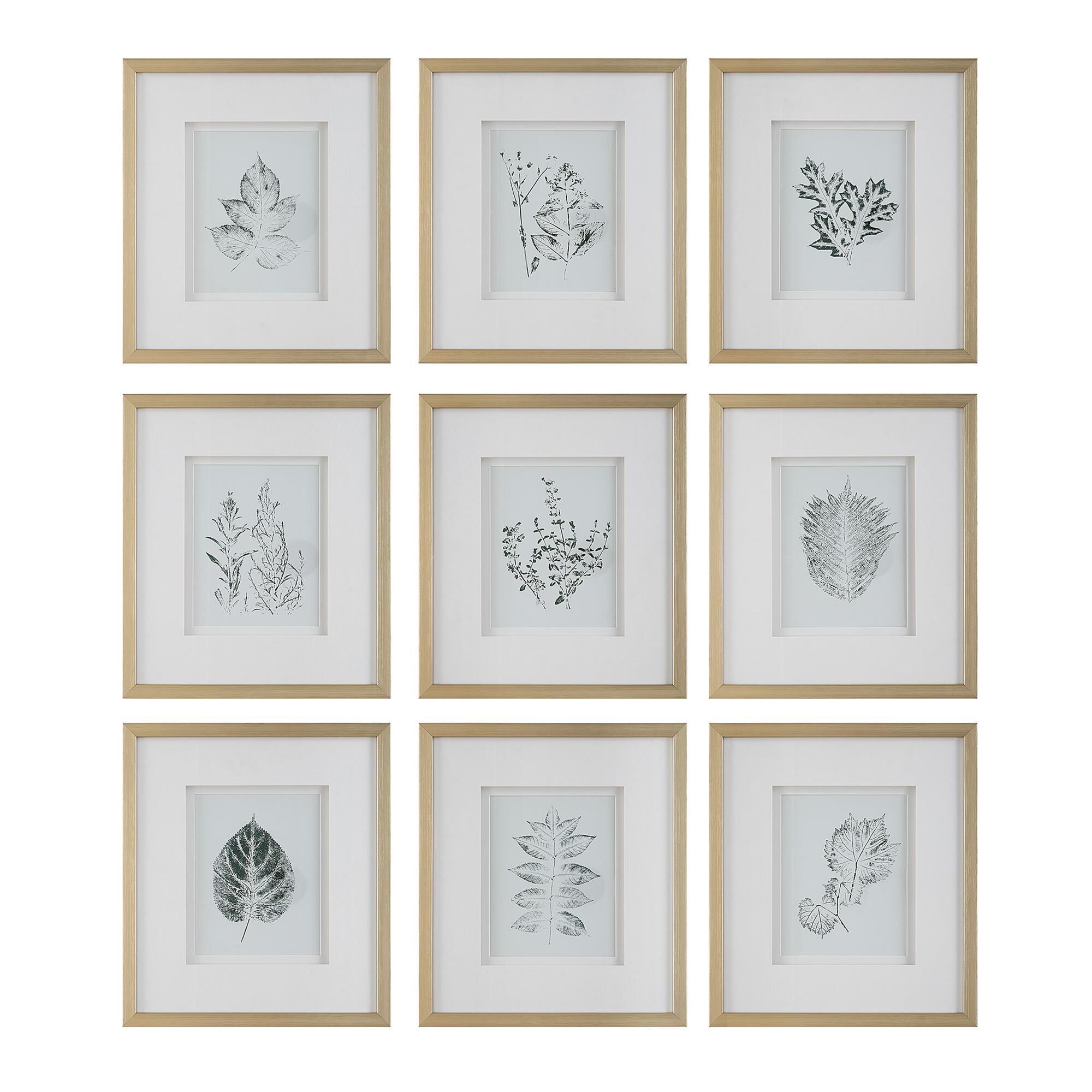 Grace Feyock Nature's 17 Inch Art Print by Uttermost