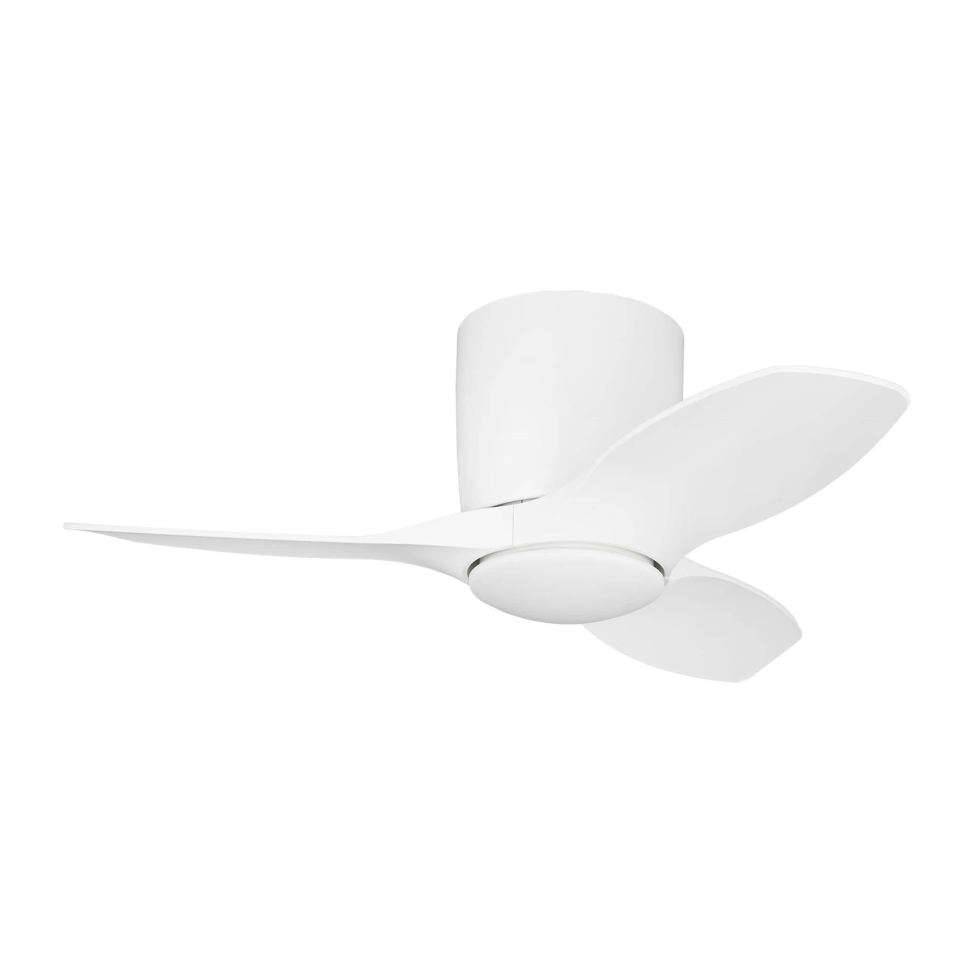 Titus Hugger 32 Inch Flush Mount Fan With Light Kit,