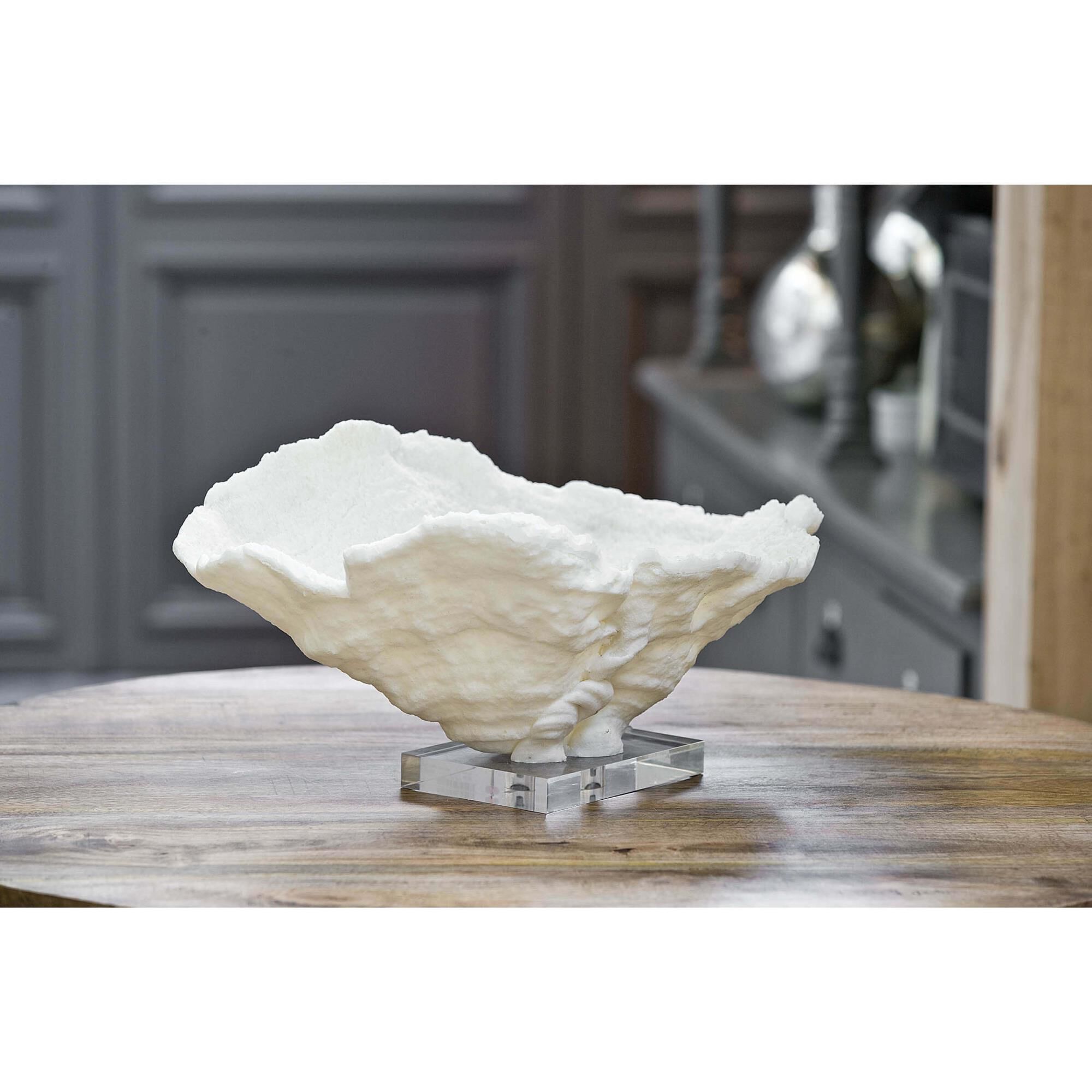 Coral Reef 20 Inch Bowl by Regina Andrew