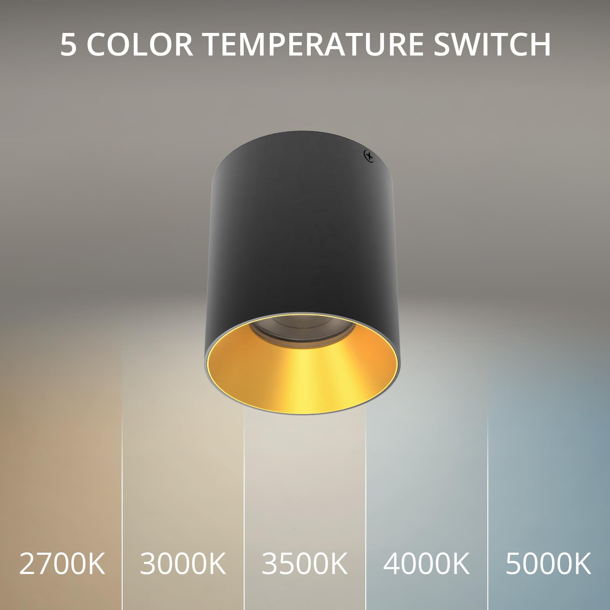 Zoron 4 Inch Outdoor Flush Mount by WAC Lighting