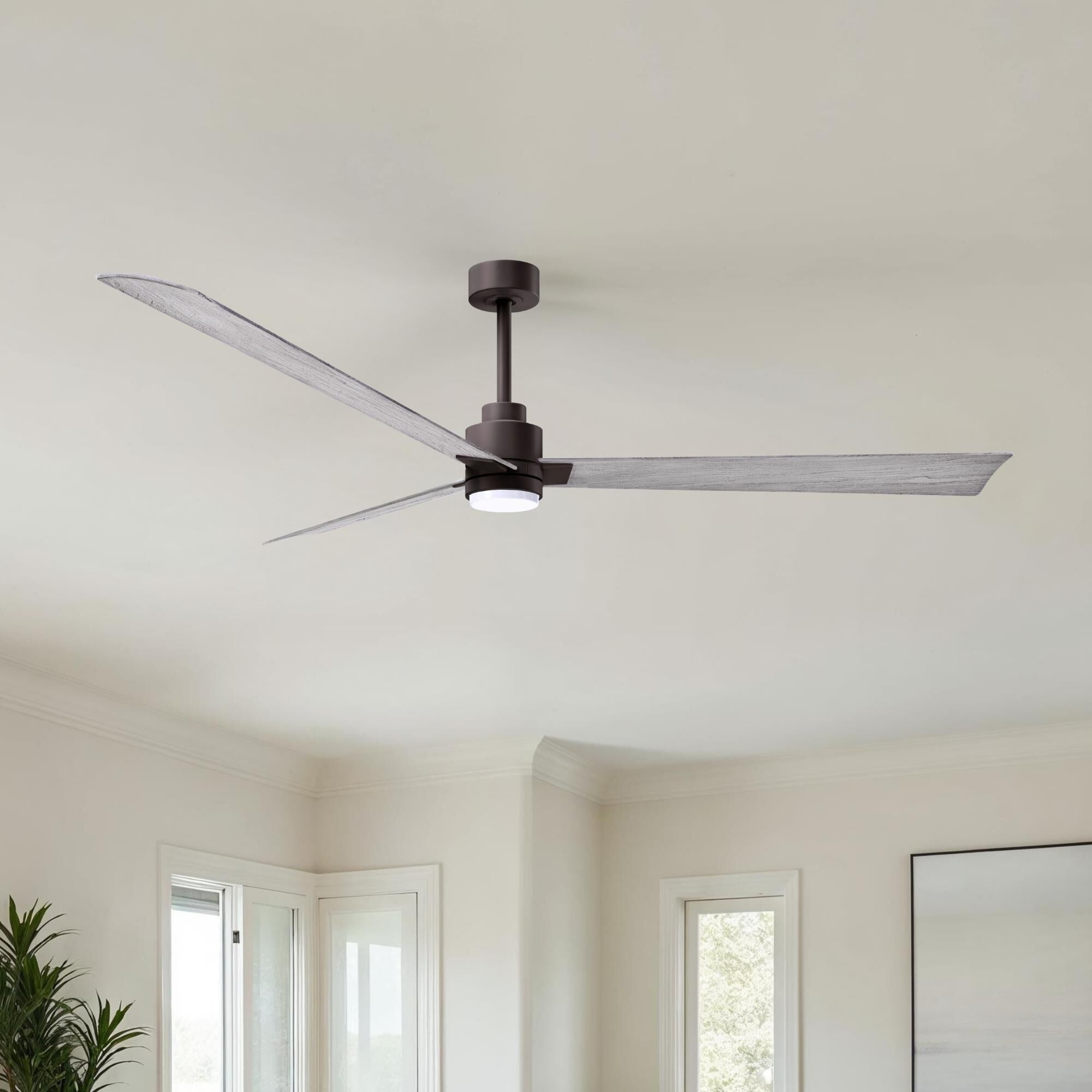 Alessandra 72 Inch Ceiling Fan by Matthews Fan Company