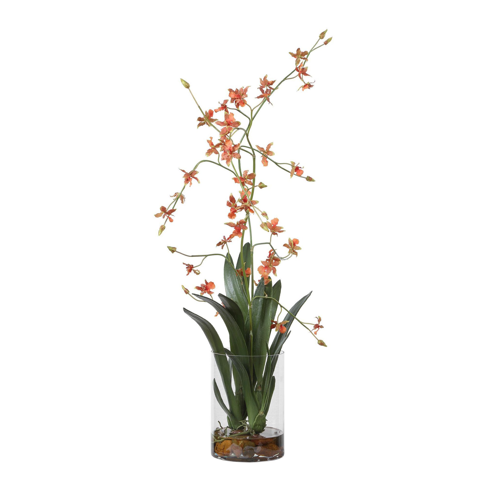 Dancing Botanical,