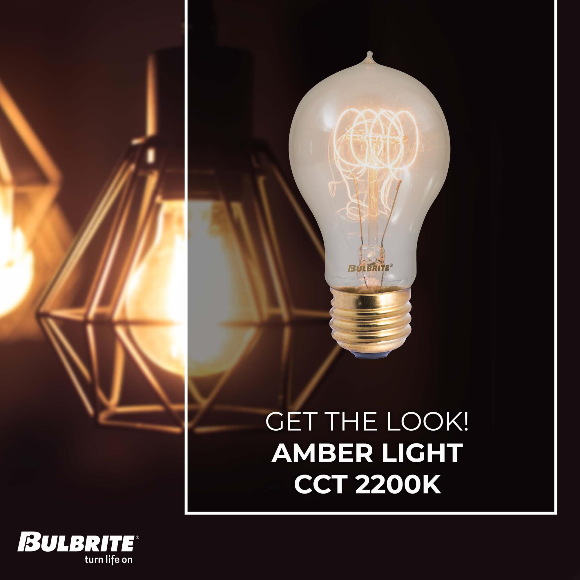 40 Watt 2200K A19 Incandescent Light Bulb by Bulbrite