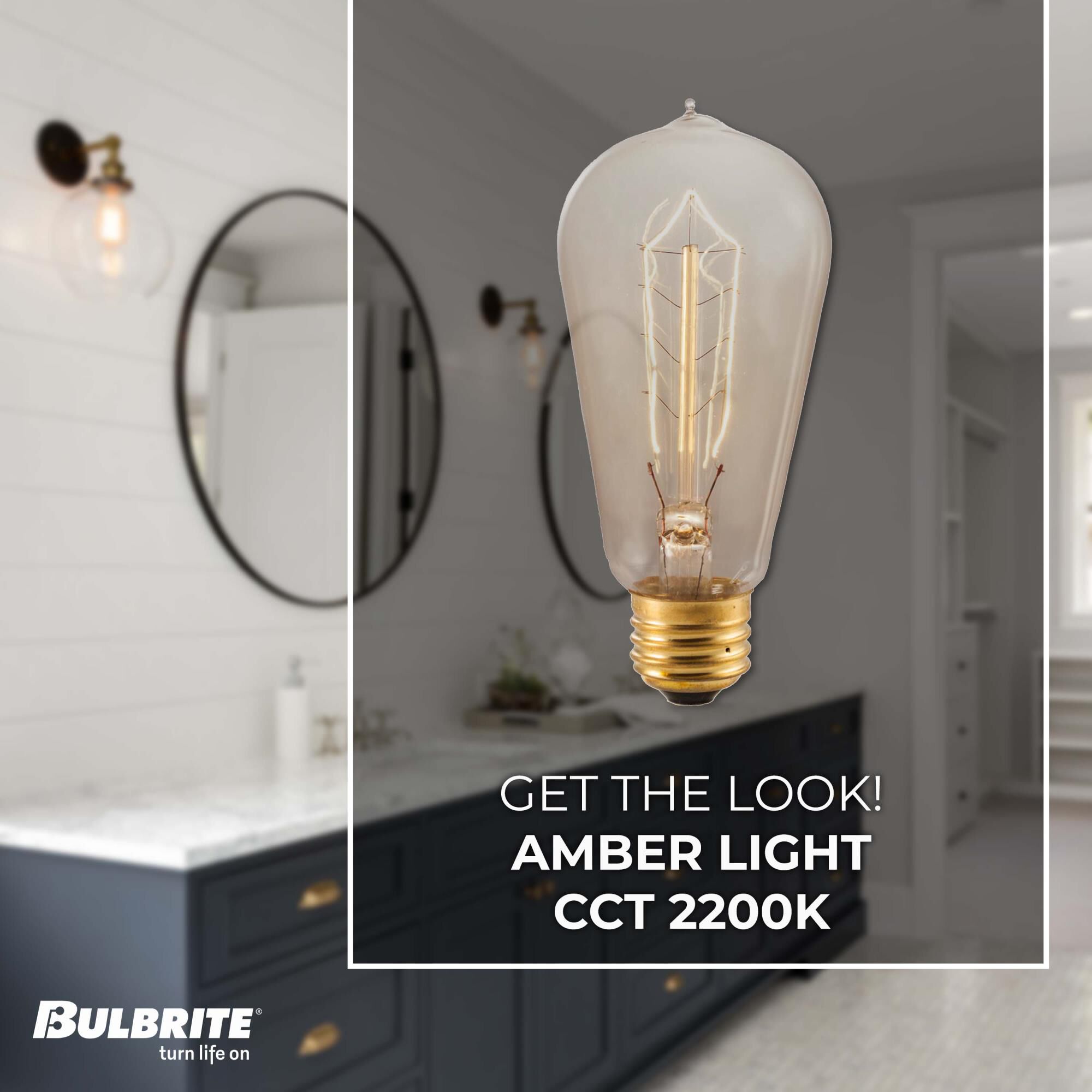 40 Watt 2200K ST18 Incandescent Light Bulb by Bulbrite