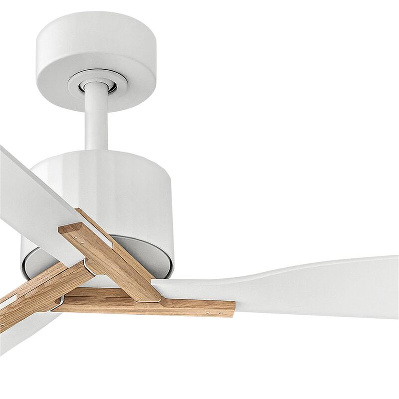 Rafter 60 Inch Ceiling Fan by Hinkley
