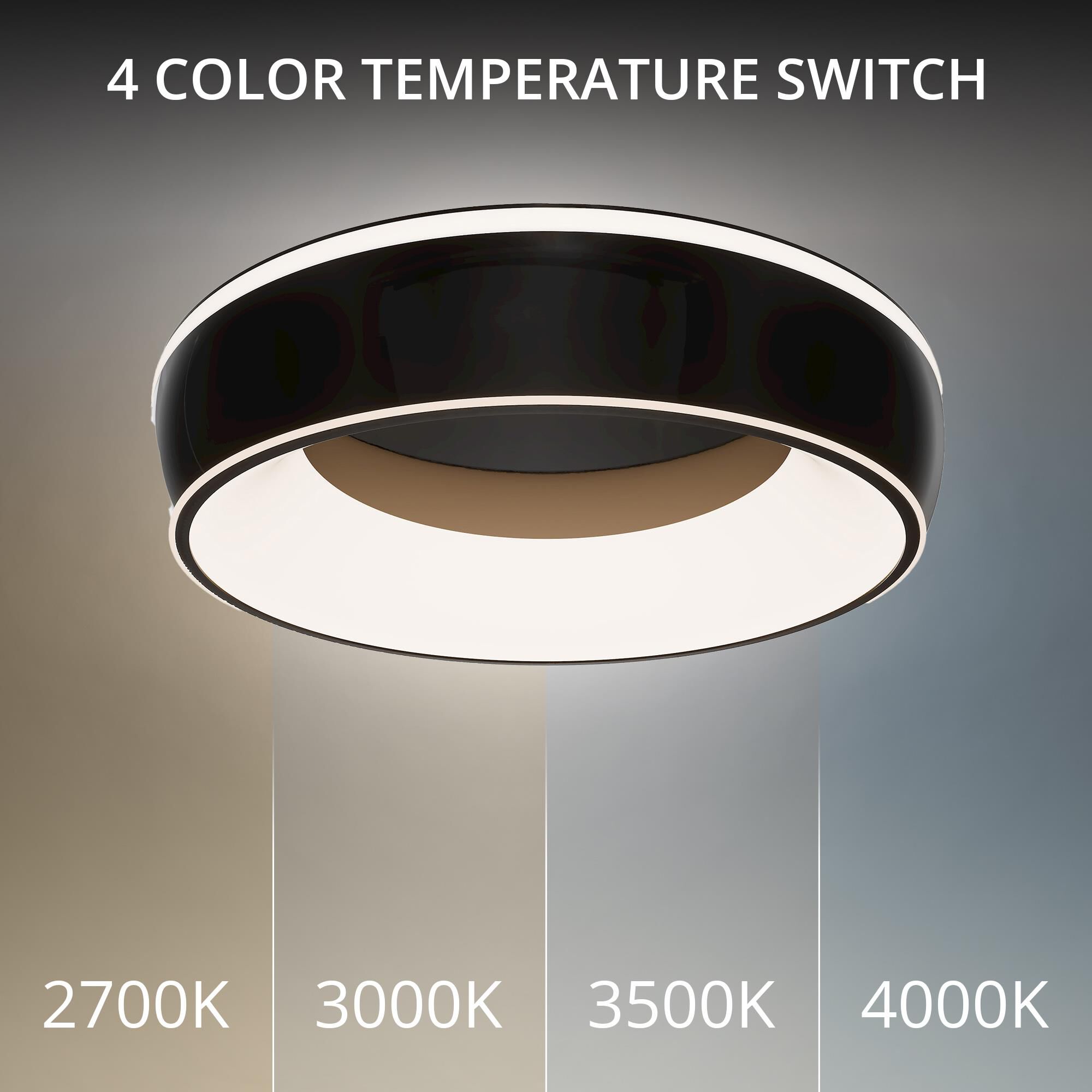 Ringwall 19 Inch Flush Mount by dweLED