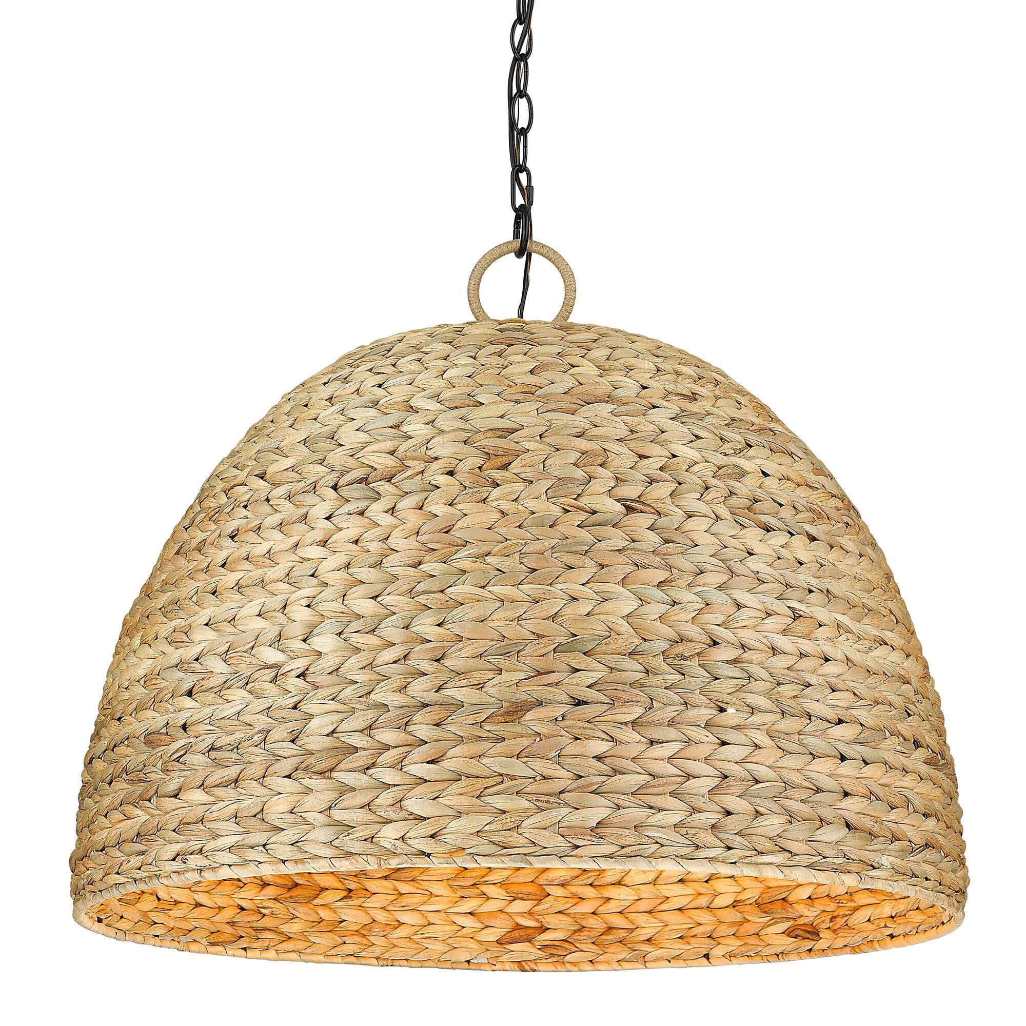 Rue 27 Inch Large Pendant by Golden Lighting