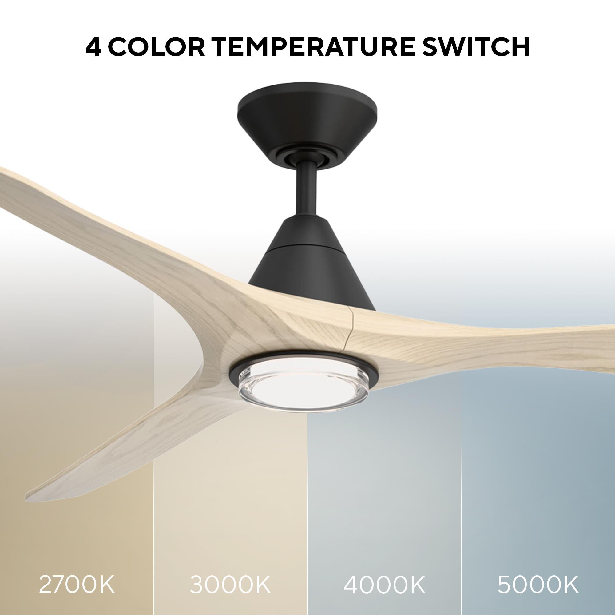 Carve 60 Inch Ceiling Fan with Light Kit by Modern Forms