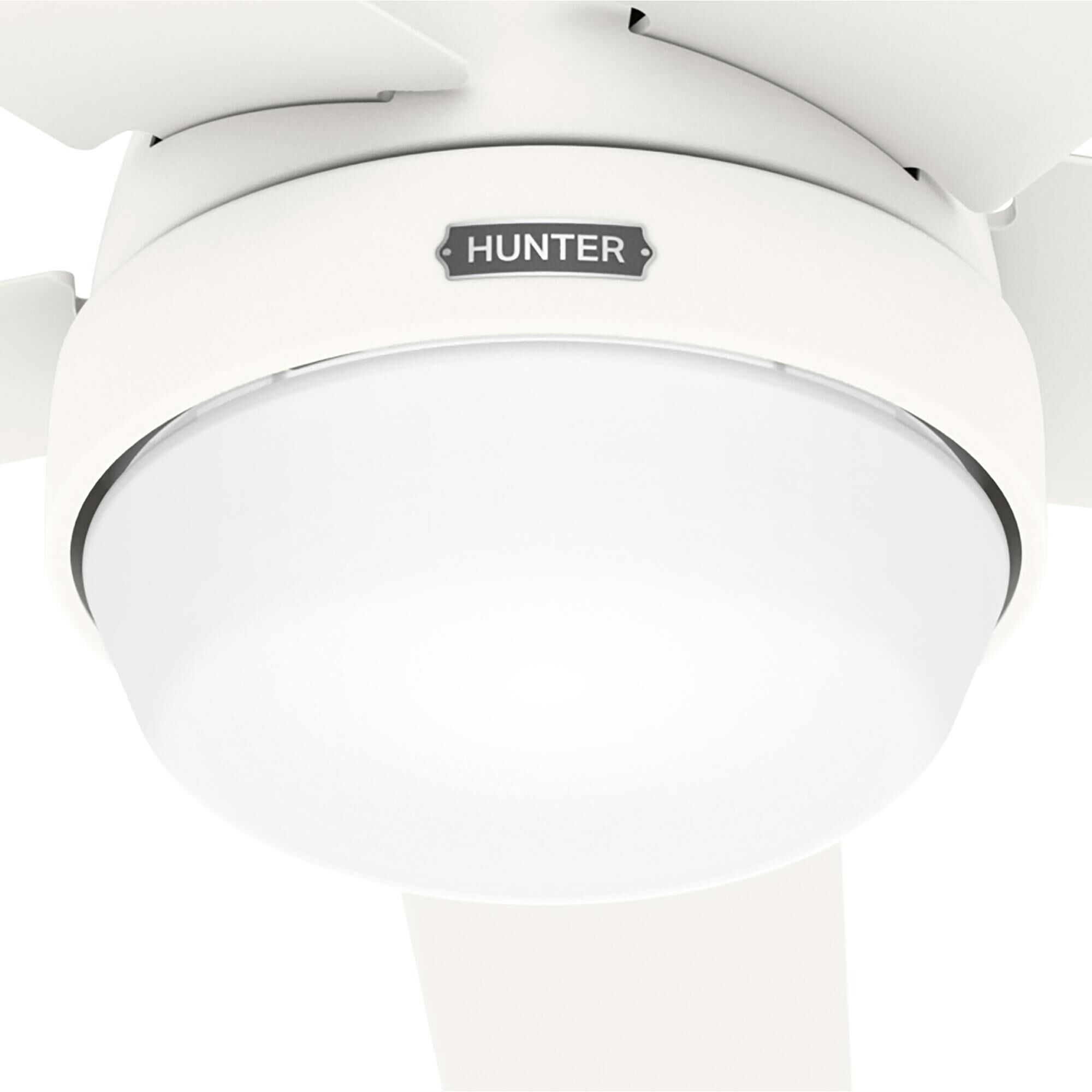 Aerodyne 60 Inch Ceiling Fan with Light Kit,