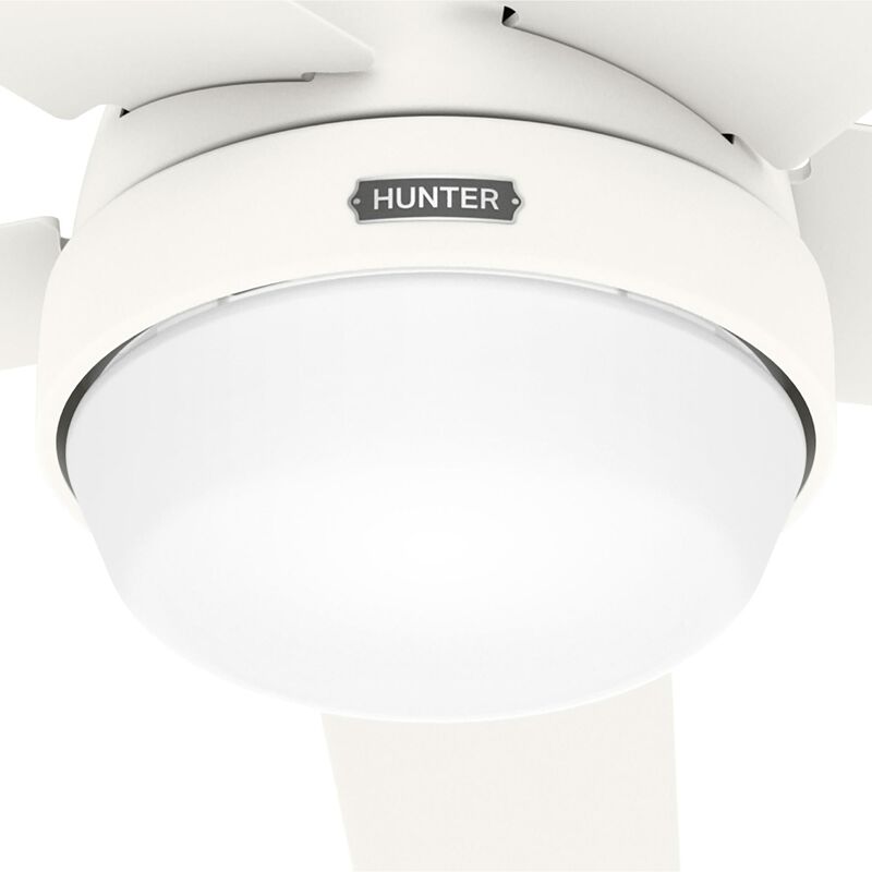 Aerodyne 60 Inch Ceiling Fan with Light Kit by Hunter Fan