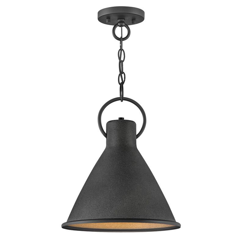 Winnie 16 Inch Mini Pendant by Hinkley
