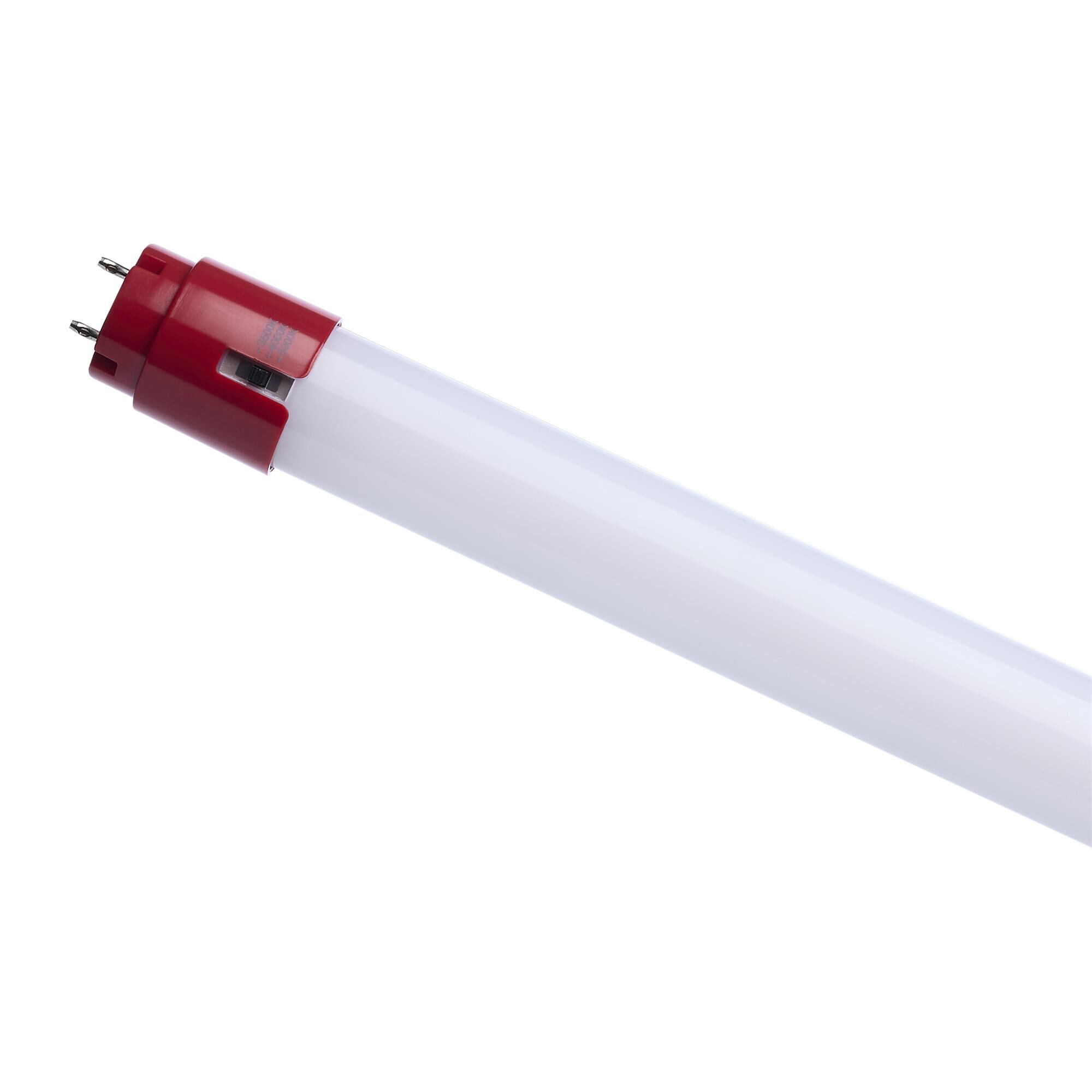 15 Watt 3500K T8 LED Light Bulb,