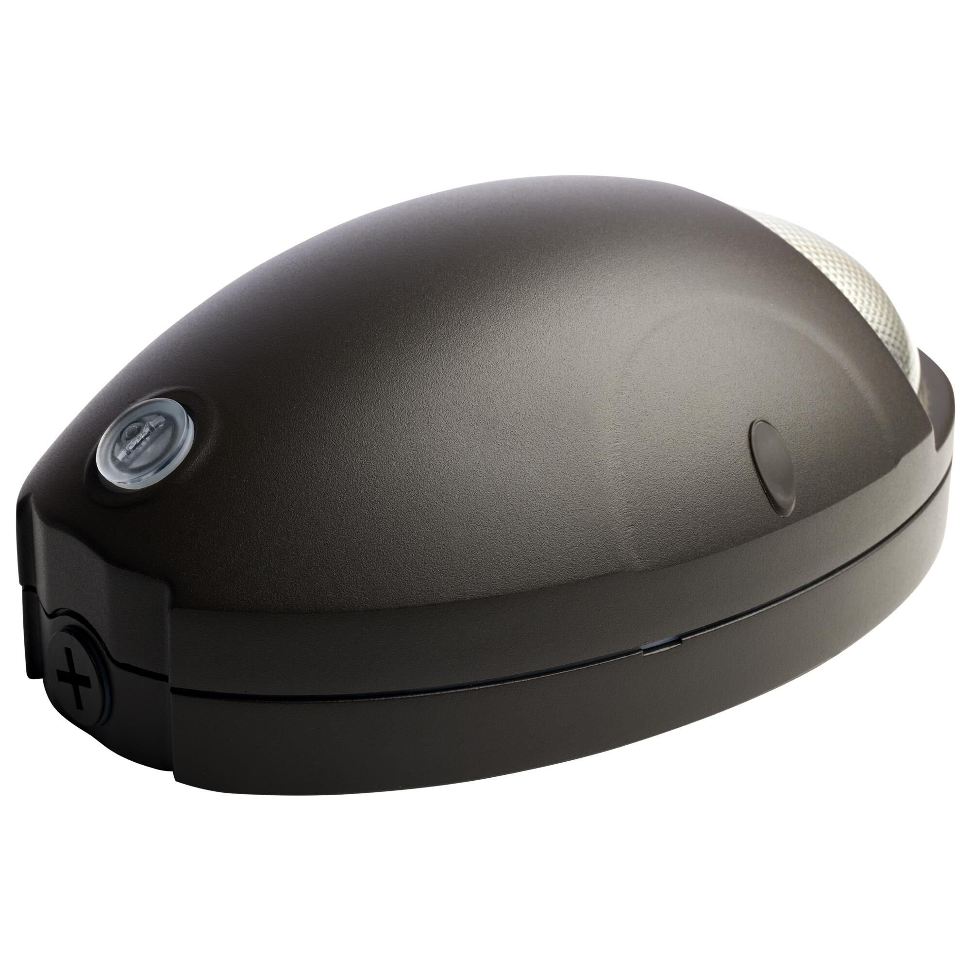 1 Light Wall Sconce by Nuvo Lighting