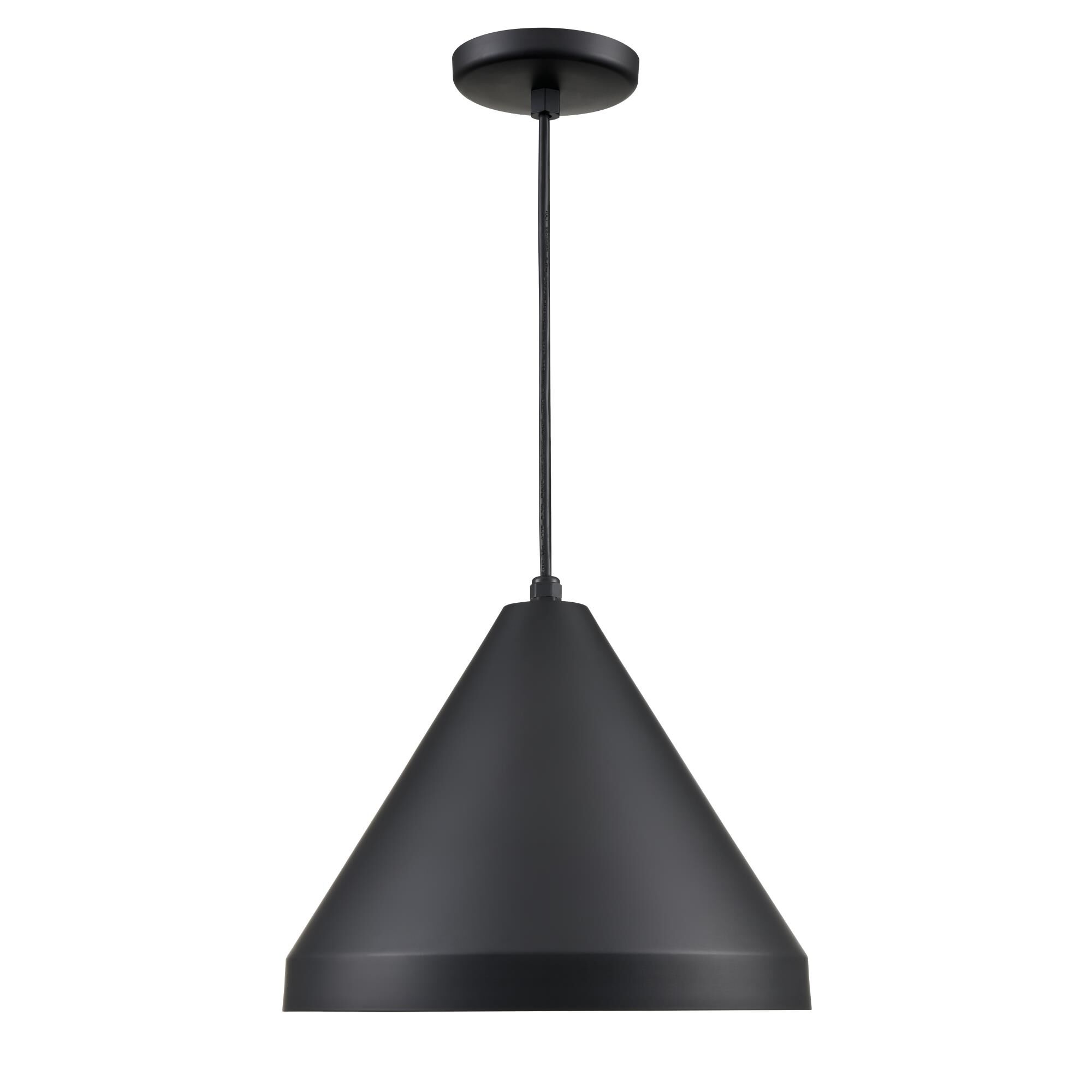 R Series 11 Inch Large Pendant by Millenium Lighting