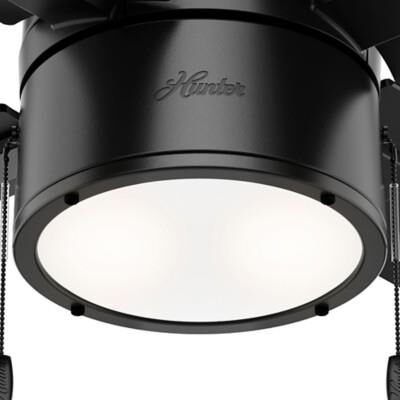 Beck Ceiling Fan by Hunter Fan