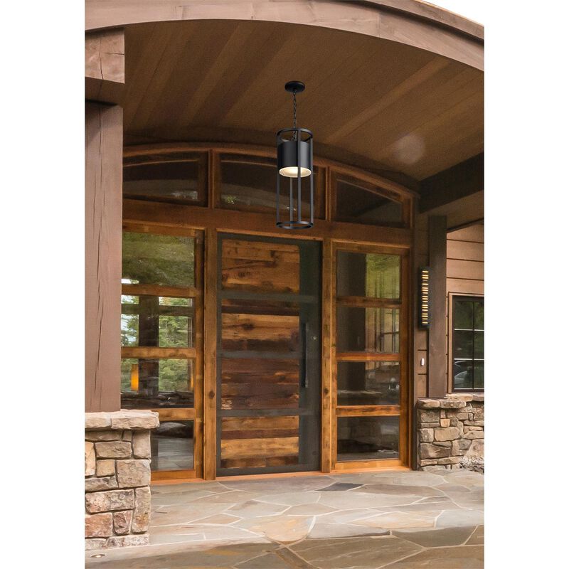 Z-Lite Luca 9 Inch LED Cage Pendant